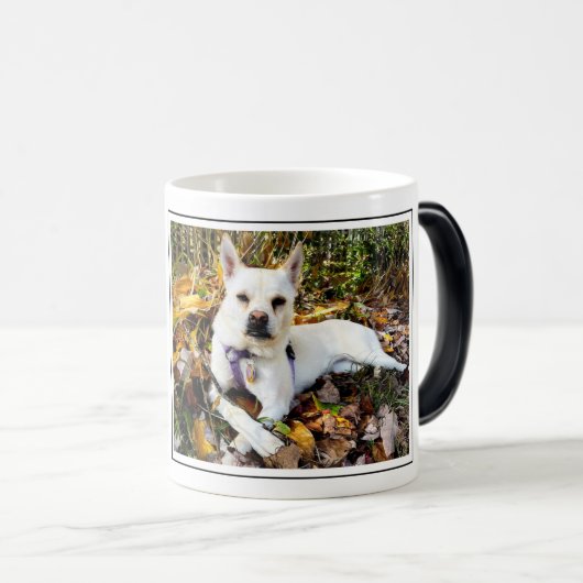 Benutzerdefiniertes FOTO für Haustiere, NAME Hunde Verwandlungstasse (VorderseiteRechts)