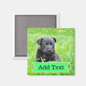 Benutzerdefiniertes Foto für Haustiere und Name-Bi Magnet (Vorderseite/Rückseite)