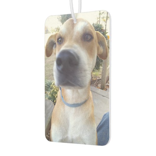 Benutzerdefiniertes Foto für Heimtiere Autolufterfrischer (Links)