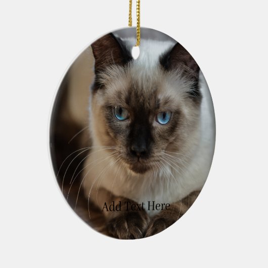 Benutzerdefiniertes Foto für Heimtiere und Name Keramik Ornament (Rechts)