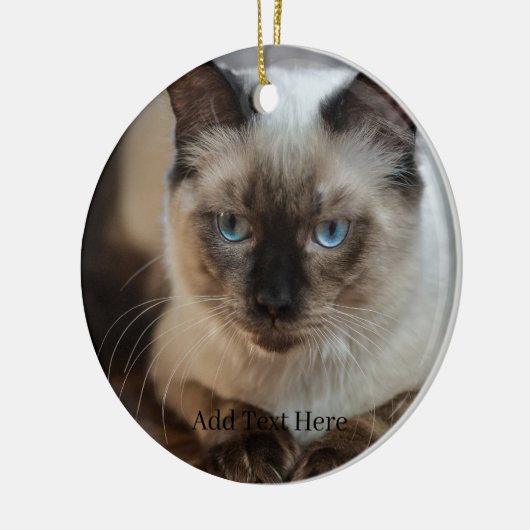 Benutzerdefiniertes Foto für Heimtiere und Name Keramik Ornament (Links)