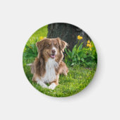 Benutzerdefiniertes Foto für Hunde Magnet (Vorne)