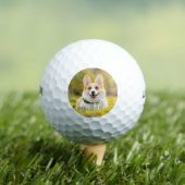 Benutzerdefiniertes Foto für Katzen, Hunde und Hau Golfball (Insitu T-Shirt)