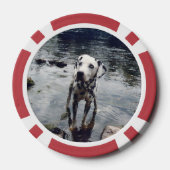 Benutzerdefiniertes Foto für Niedliche Begleiter - Pokerchips (Rückseite)