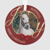 Benutzerdefiniertes Foto für Pferdenamen Ornament (Rückseite)