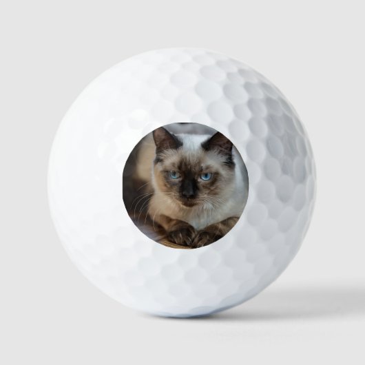 Benutzerdefiniertes Foto Golfball (Vorderseite)