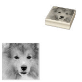 Benutzerdefiniertes Foto Gummistempel (Stempel)