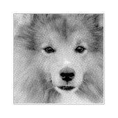 Benutzerdefiniertes Foto Gummistempel (Prägung)