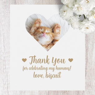 Benutzerdefiniertes Foto Katzen-Hochzeitswein-Etik Weinetikett