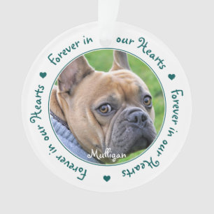 Benutzerdefiniertes Foto Keepake Pet Memorial Ornament