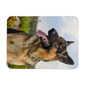 Benutzerdefiniertes Foto Kühlschrank-Magnet Magnet (Horizontal)