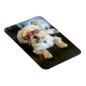 Benutzerdefiniertes Foto Kühlschrank-Magnet Magnet (Rechte Seite)