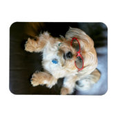 Benutzerdefiniertes Foto Kühlschrank-Magnet Magnet (Horizontal)