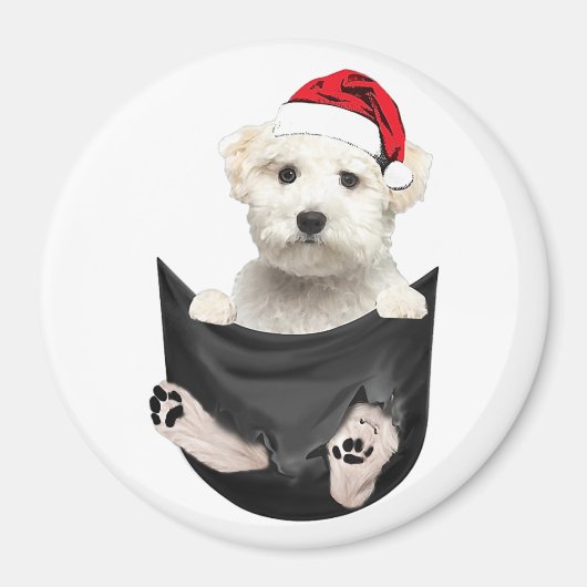 Benutzerdefiniertes Foto Kühlschrank-Magnet | Pet  Magnet (Vorne)