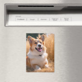Benutzerdefiniertes Foto Magnet (In Situ (Geschirrspüler))