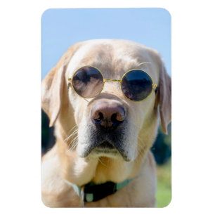 Benutzerdefiniertes Foto Magnet