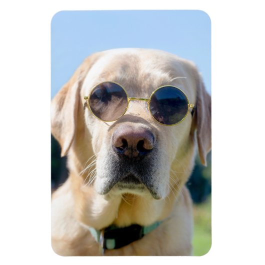 Benutzerdefiniertes Foto Magnet (Vertikal)