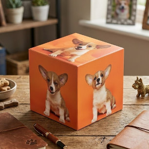 Benutzerdefiniertes Foto mit Ihrem Haustierhund 5 Würfel