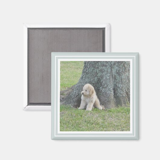 Benutzerdefiniertes Foto Modernes Niedliches, schl Magnet (Vorderseite/Rückseite)