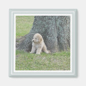 Benutzerdefiniertes Foto Modernes Niedliches, schl Magnet (Vorne)