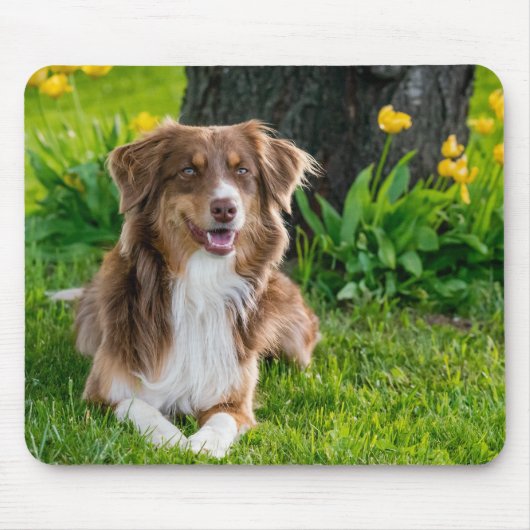 Benutzerdefiniertes Foto Mousepad (Vorne)