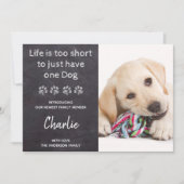 Benutzerdefiniertes Foto Neue Dog-Welpendusche Einladung (Vorderseite)