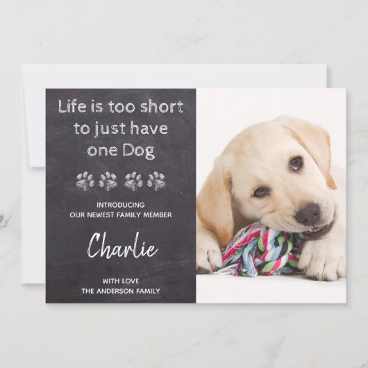 Benutzerdefiniertes Foto Neue Dog-Welpendusche Einladung (Vorderseite)