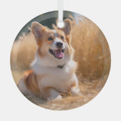 Benutzerdefiniertes Foto Ornament Aus Glas (Vorderseite)