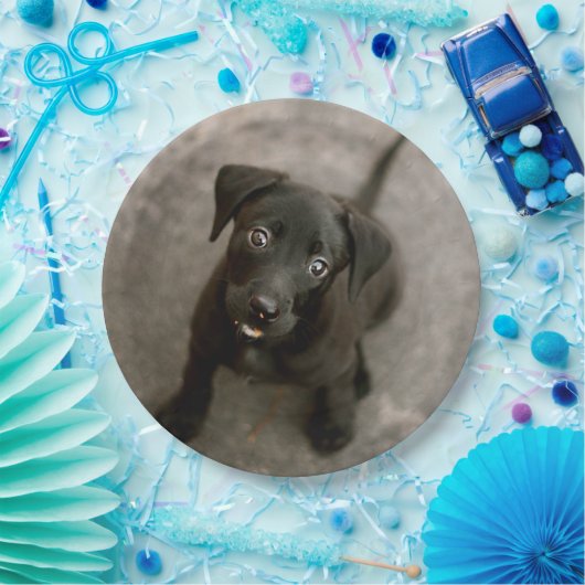 Benutzerdefiniertes Foto Pappteller (Party)