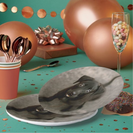 Benutzerdefiniertes Foto Pappteller (Multi)