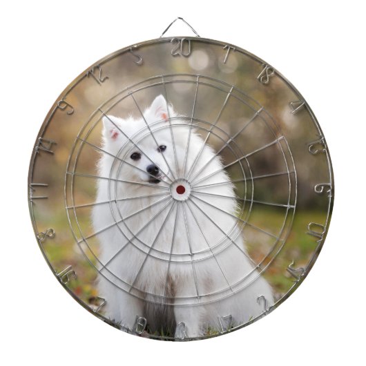 Benutzerdefiniertes Foto Personalisiert Dartboard Dartscheibe (vorne)