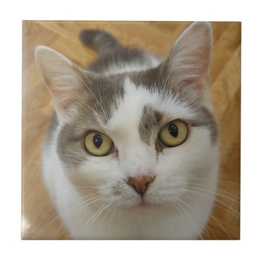 Benutzerdefiniertes Foto Personalisiert Fliese (Vorderseite)