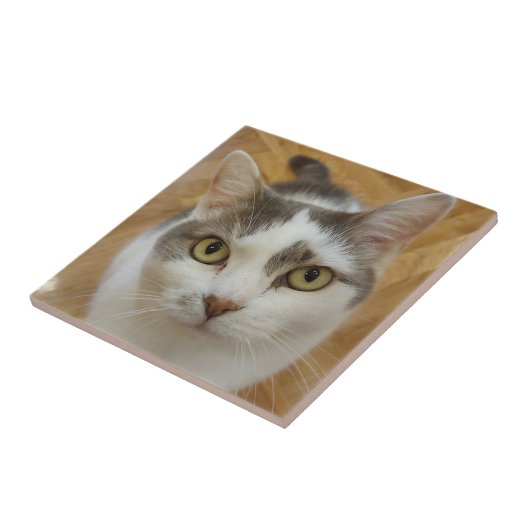 Benutzerdefiniertes Foto Personalisiert Fliese (Seite)