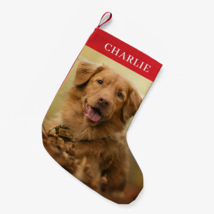 Benutzerdefiniertes Foto Personalisiert Haustier Kleiner Weihnachtsstrumpf