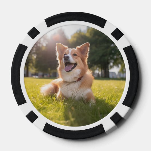 Benutzerdefiniertes Foto Pokerchips (Rückseite)