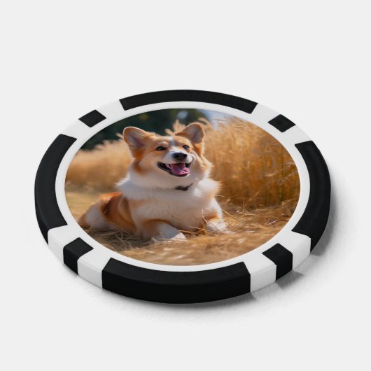 Benutzerdefiniertes Foto Pokerchips (Einzeln)