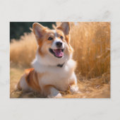Benutzerdefiniertes Foto Postkarte (Vorderseite)