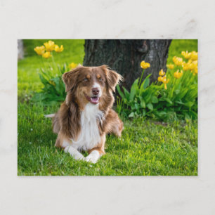 Benutzerdefiniertes Foto Postkarte