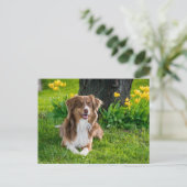 Benutzerdefiniertes Foto Postkarte (Stehend Vorderseite)