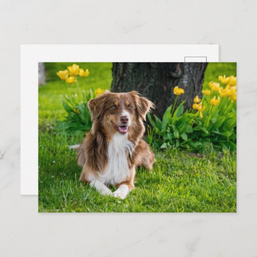 Benutzerdefiniertes Foto Postkarte (Vorne/Hinten)