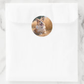 Benutzerdefiniertes Foto Runder Aufkleber (Tasche)