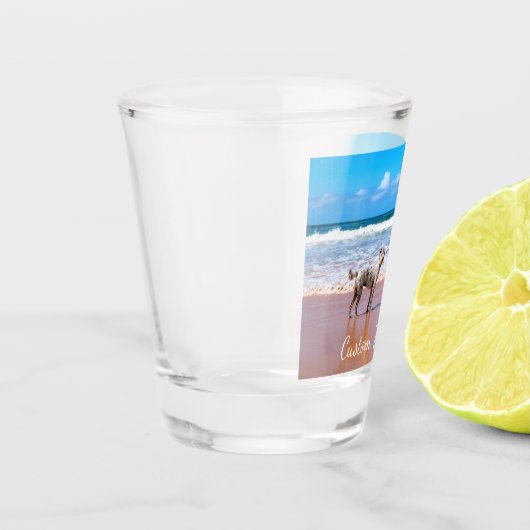 Benutzerdefiniertes Foto-Schiebeglas mit Ihren Fot Schnapsglas (Links)