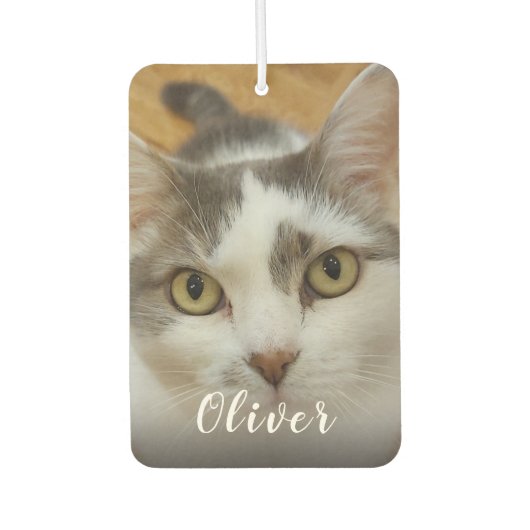 Benutzerdefiniertes Foto und Namenswagen Autolufterfrischer (Vorderseite)