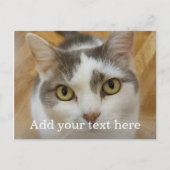 Benutzerdefiniertes Foto und Personalisierter Name Postkarte (Vorderseite)