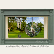 Benutzerdefiniertes Foto von einem Vintage-Kolibri