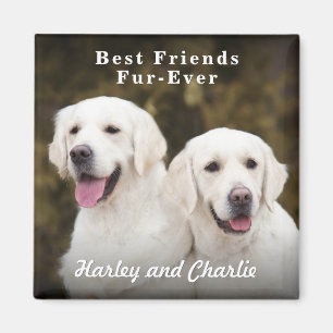 Benutzerdefiniertes Foto von zwei Hunden - beste F Magnet