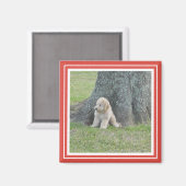Benutzerdefiniertes Foto Vorlage Klassisches Rot u Magnet (Vorderseite/Rückseite)