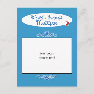 Benutzerdefiniertes Foto! weltbest Maltipoo Postkarte