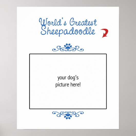 Benutzerdefiniertes Foto! Weltbestes Sheepadoodle Poster (Vorne)