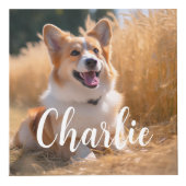 Benutzerdefiniertes Foto Würfel (Vorderseite)